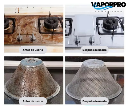VaporPro Limpieza Rápida
